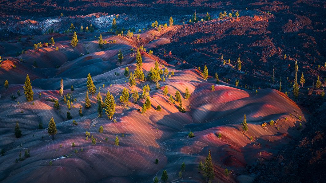 Sunrise volcanic terrain with red/black ash, sparse pines, and subtle grid patterns, suggesting topographic mapping or erosion control.