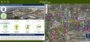 Cupertino's Urban Forest: Find Tree Data, Eco Benefits, and City Tree Inventory Map