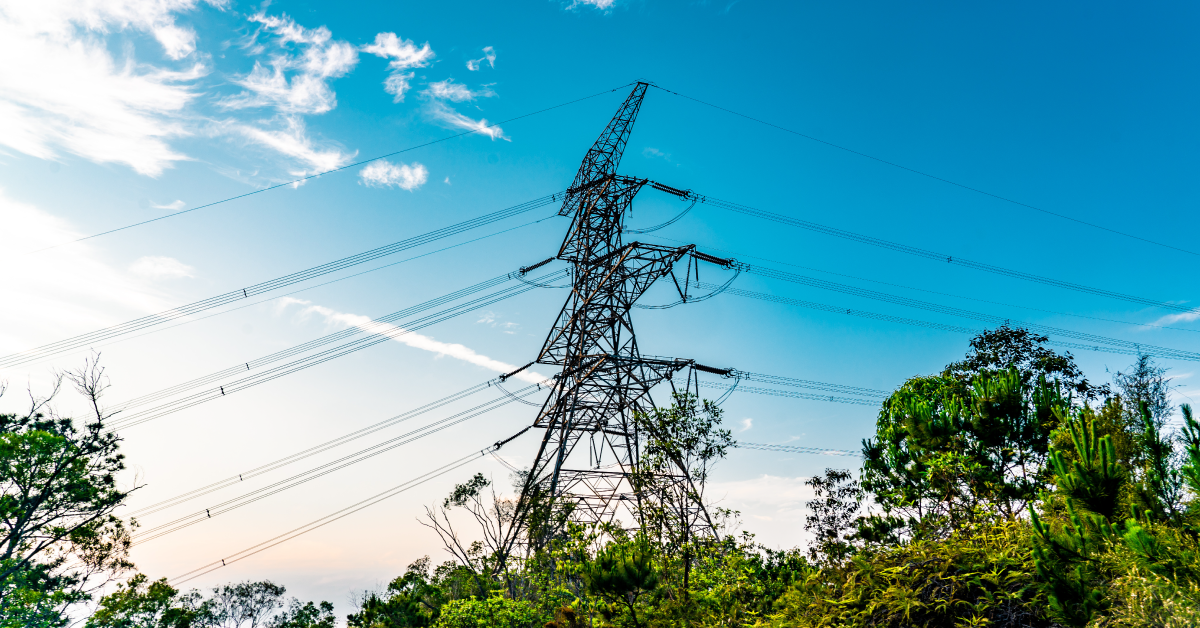 Power lines crisscross against a bright blue sky, framed by lush green trees below.