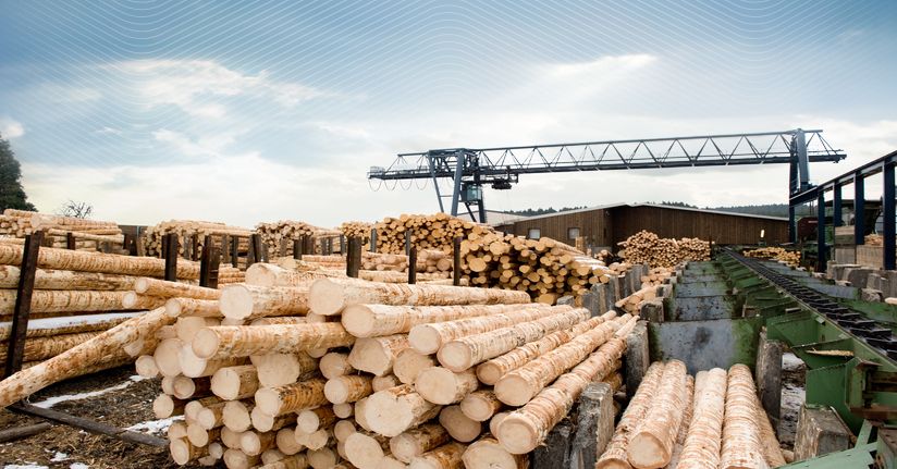 Large industrial lumber yard with rows of stacked logs leading toward a crane and factory buildings under a cloudy sky.