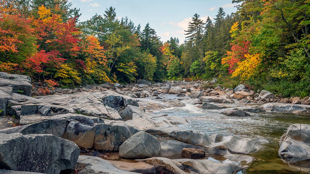 Rocky stream flowing through large gray boulders, surrounded by colorful autumn foliage on vibrant green and red trees.