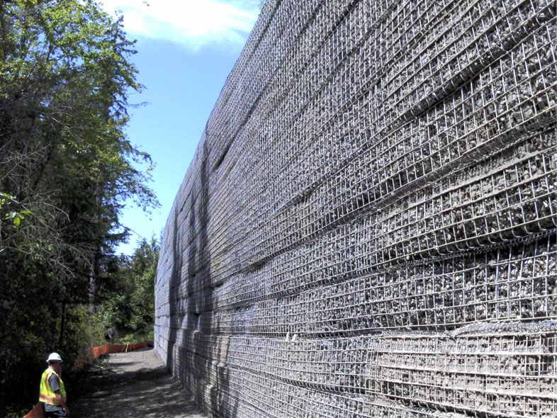 Wall and forest