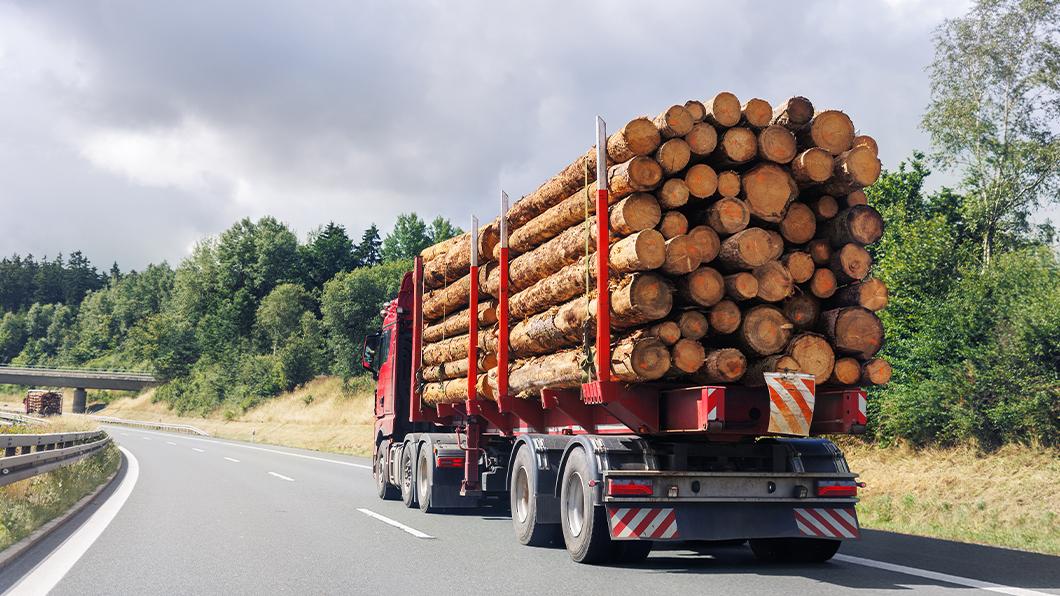 construction-blog-truck-logs-transport-image