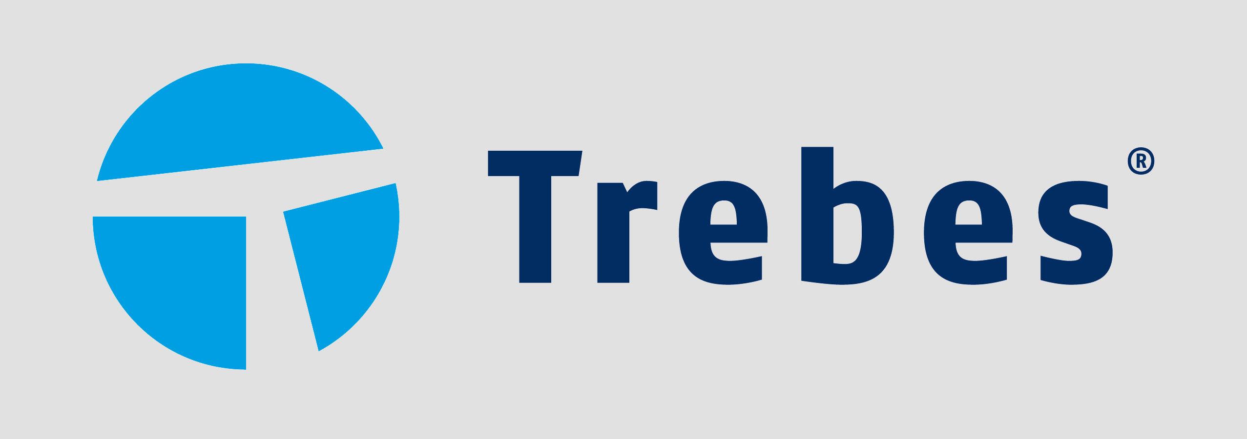 Logo Ingenieurteam Trebes